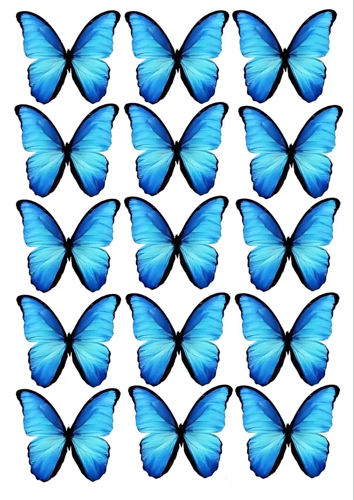 Borboletas Azuis para Imprimir e Recortar em Fundo Branco