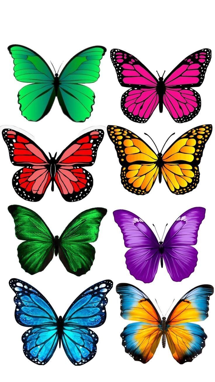 Borboletas Coloridas para Imprimir e Decorar