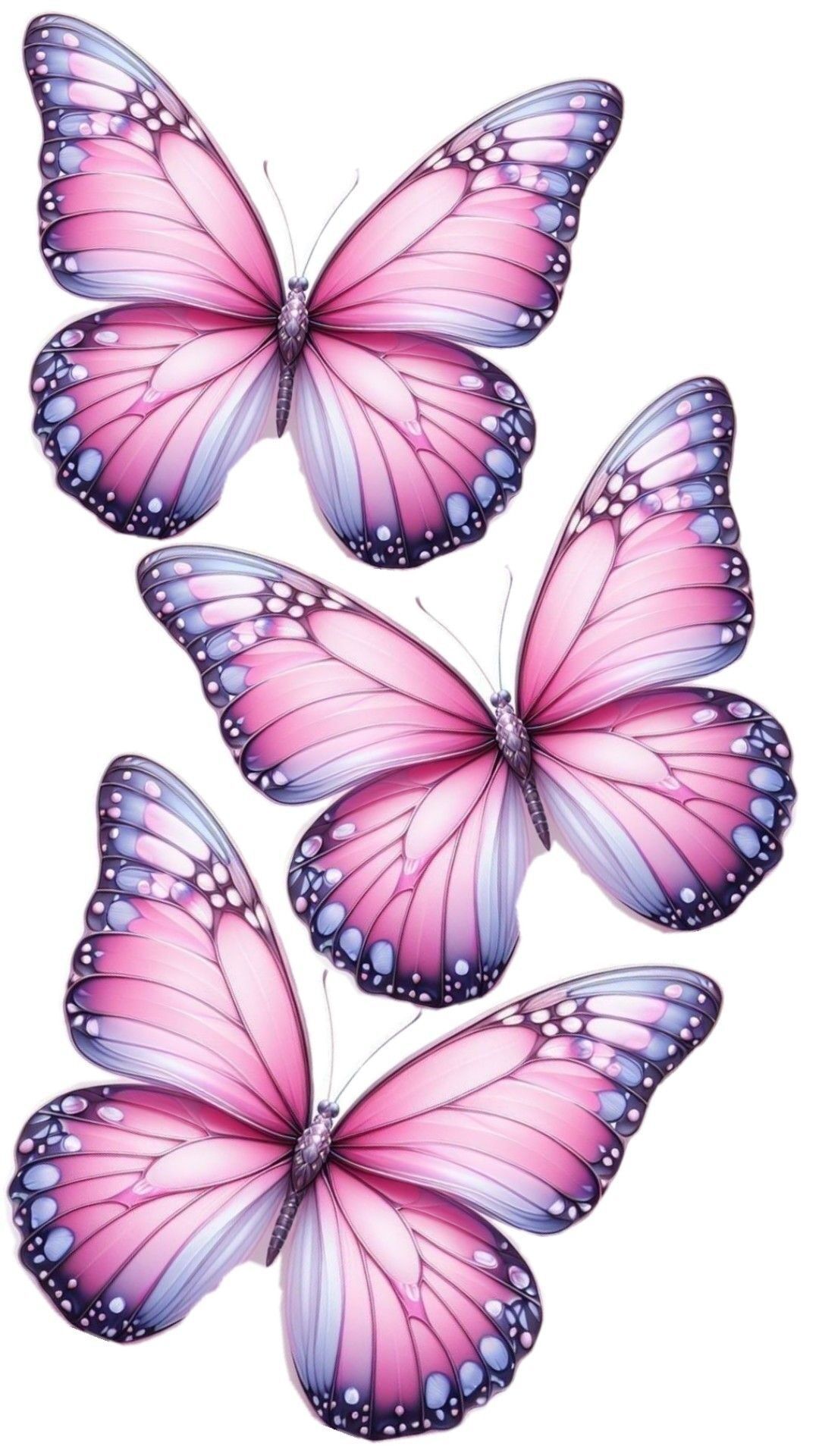 Borboletas para imprimir em cores vibrantes e harmoniosas