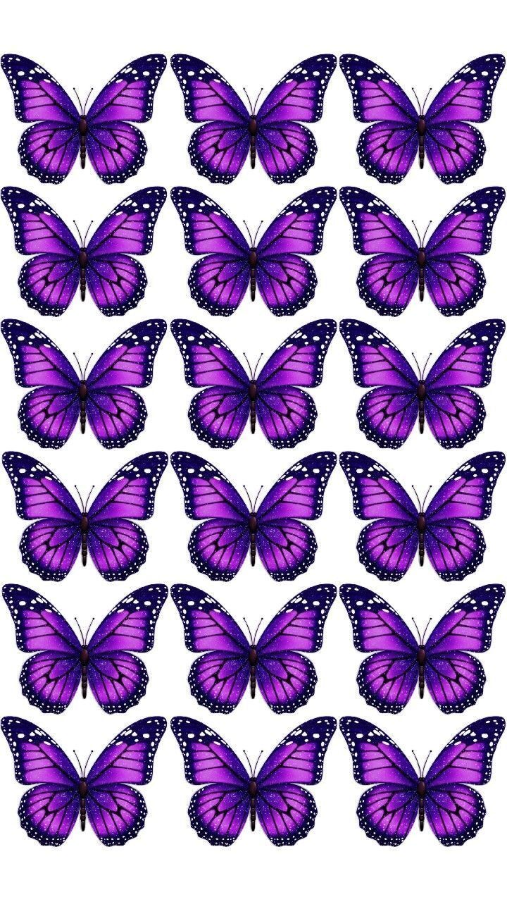 Borboletas roxas para imprimir em padrão simétrico