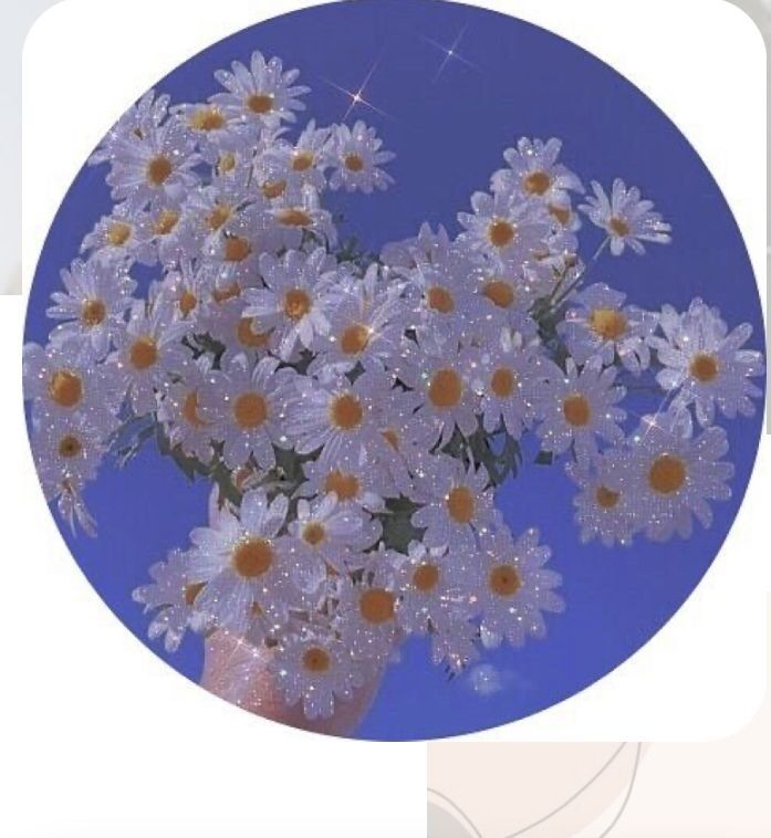 Buquê de Margaridas Brancas para Perfil Whatsapp