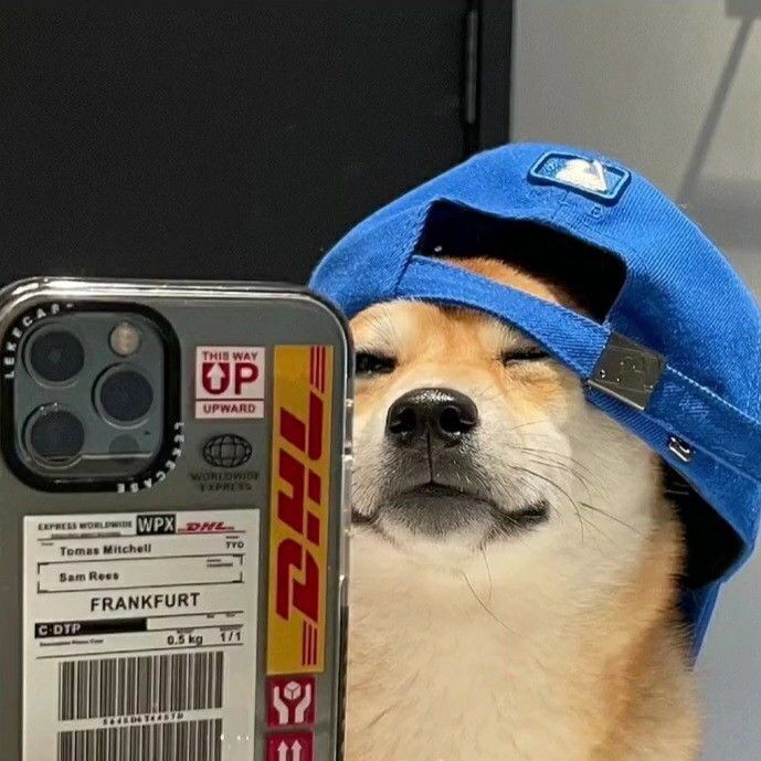 Cachorro com Boné Azul: Foto de Perfil Masculino