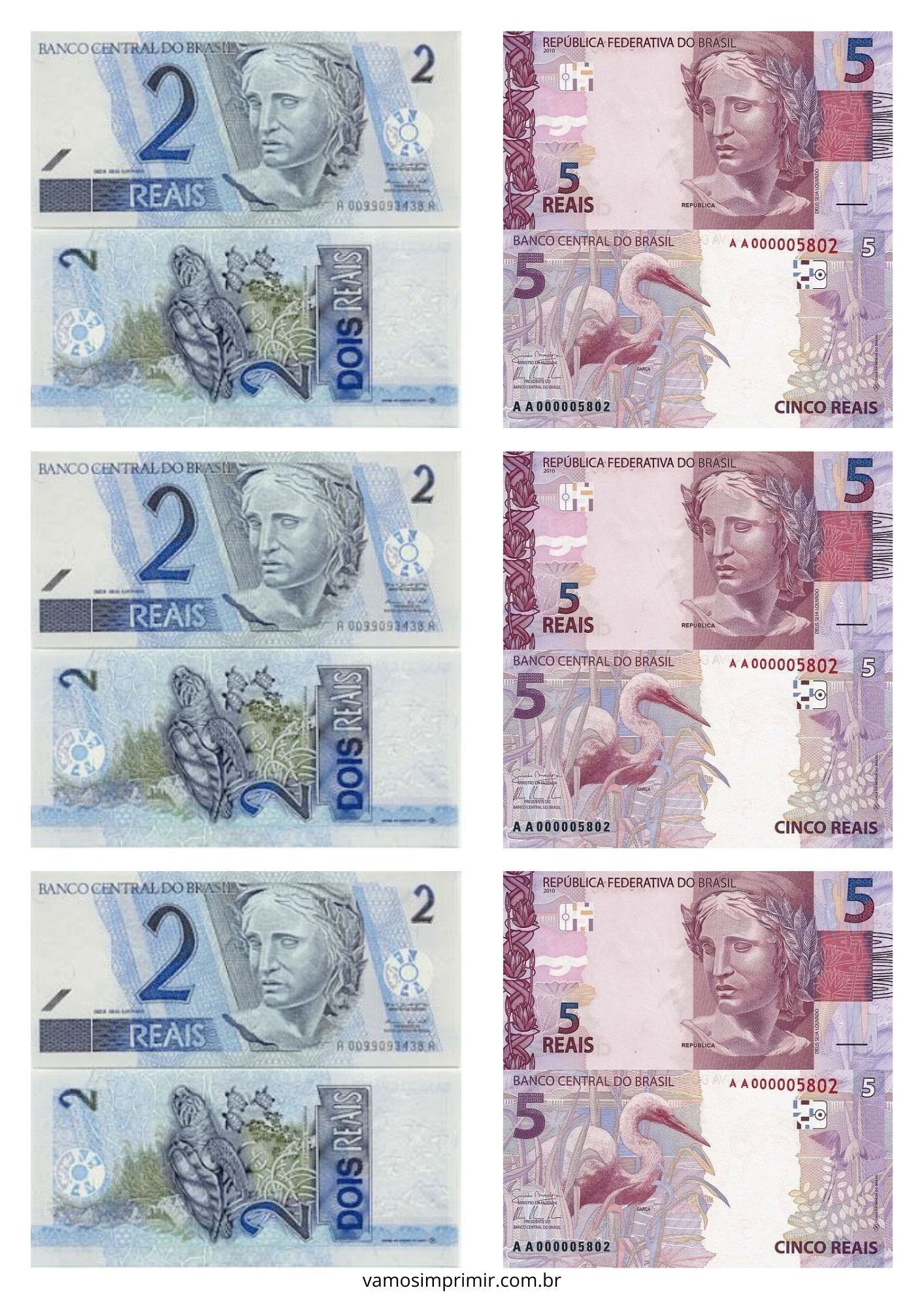 Cédulas de Brinquedo de 2 e 5 Reais para Imprimir