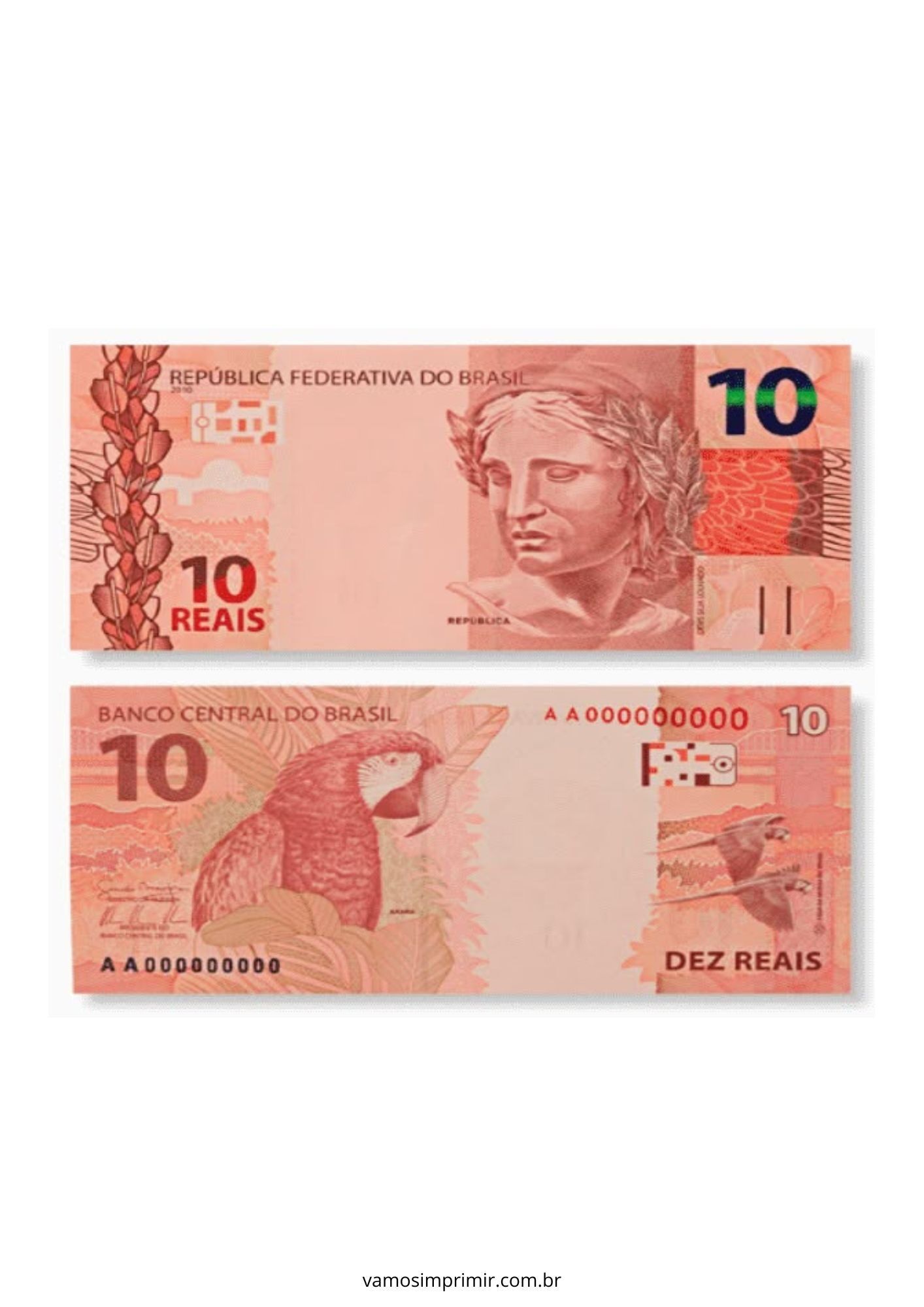 Cédulas de Dinheiro de Brinquedo Estilo 10 Reais