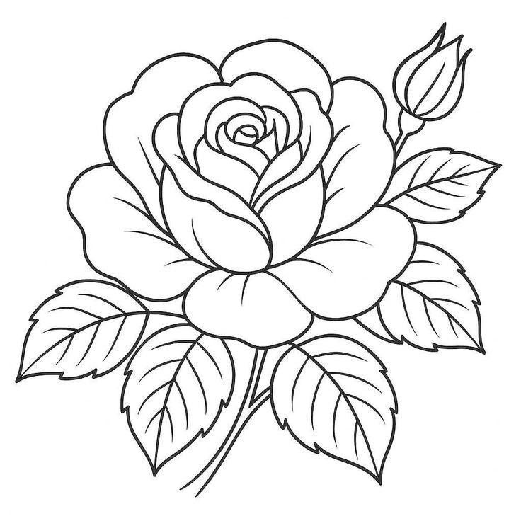 Desenho de Rosa para Imprimir e Colorir