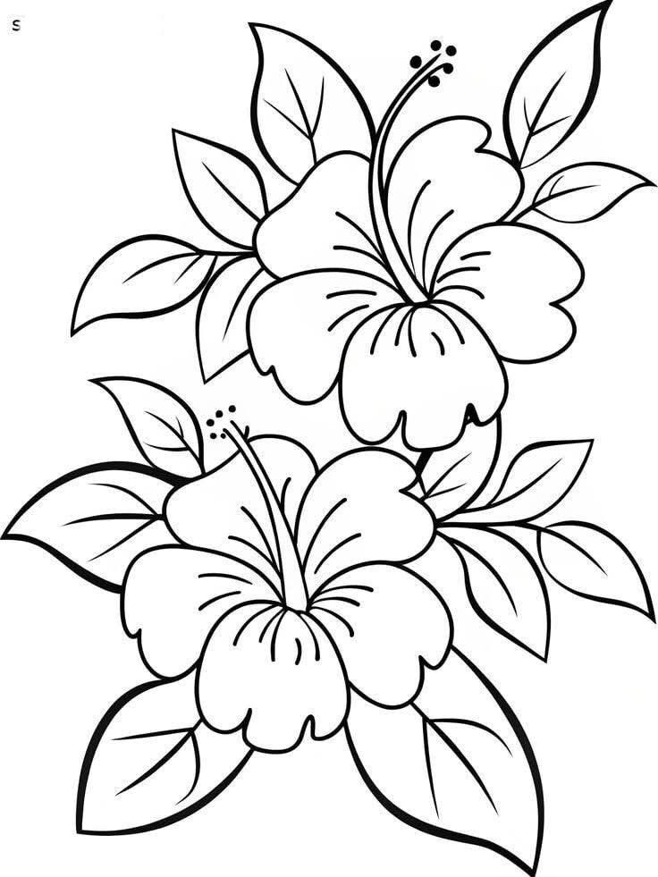 Desenho em Preto e Branco de Flores Estilizadas para Colorir