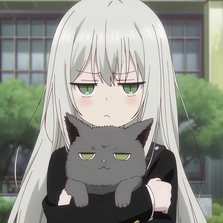 Foto de Anime com Cabelo Prateado para Perfil