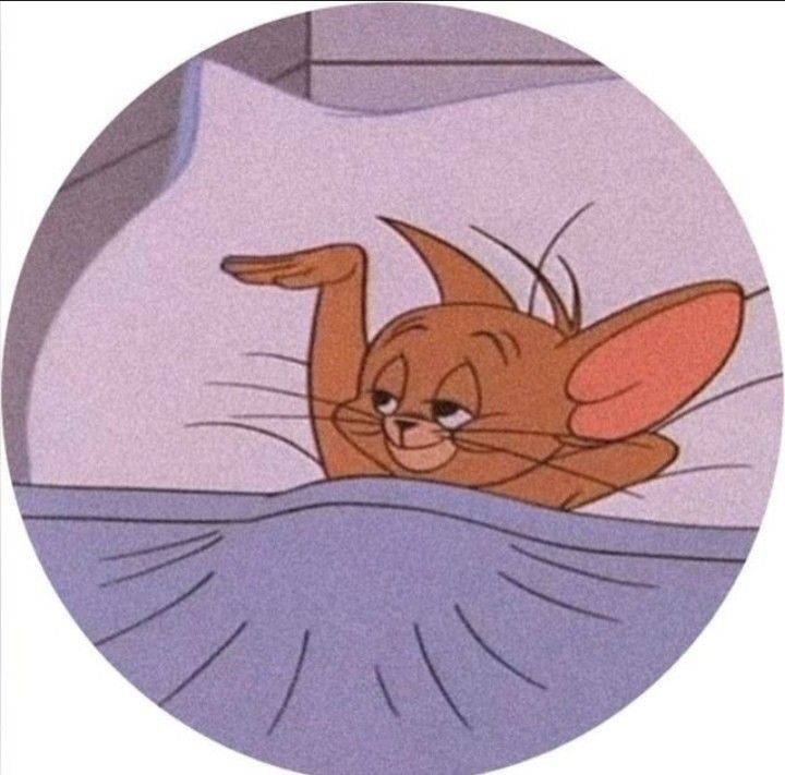 Foto divertida de Jerry para perfil feminino