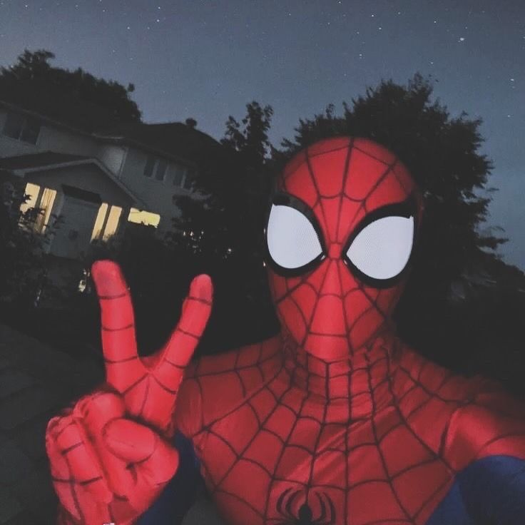 Foto do Homem-Aranha para Perfil do Whatsapp