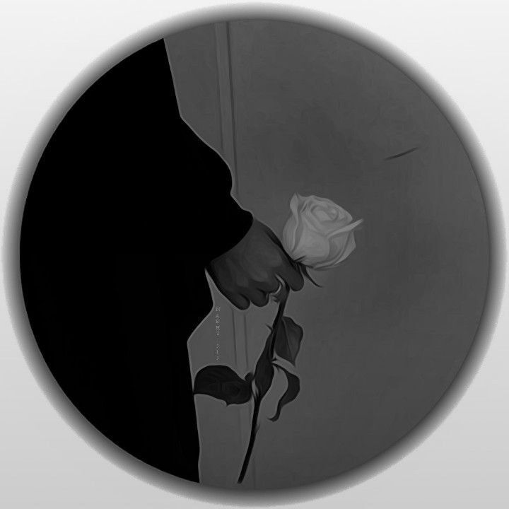 Foto elegante de rosa branca para perfil