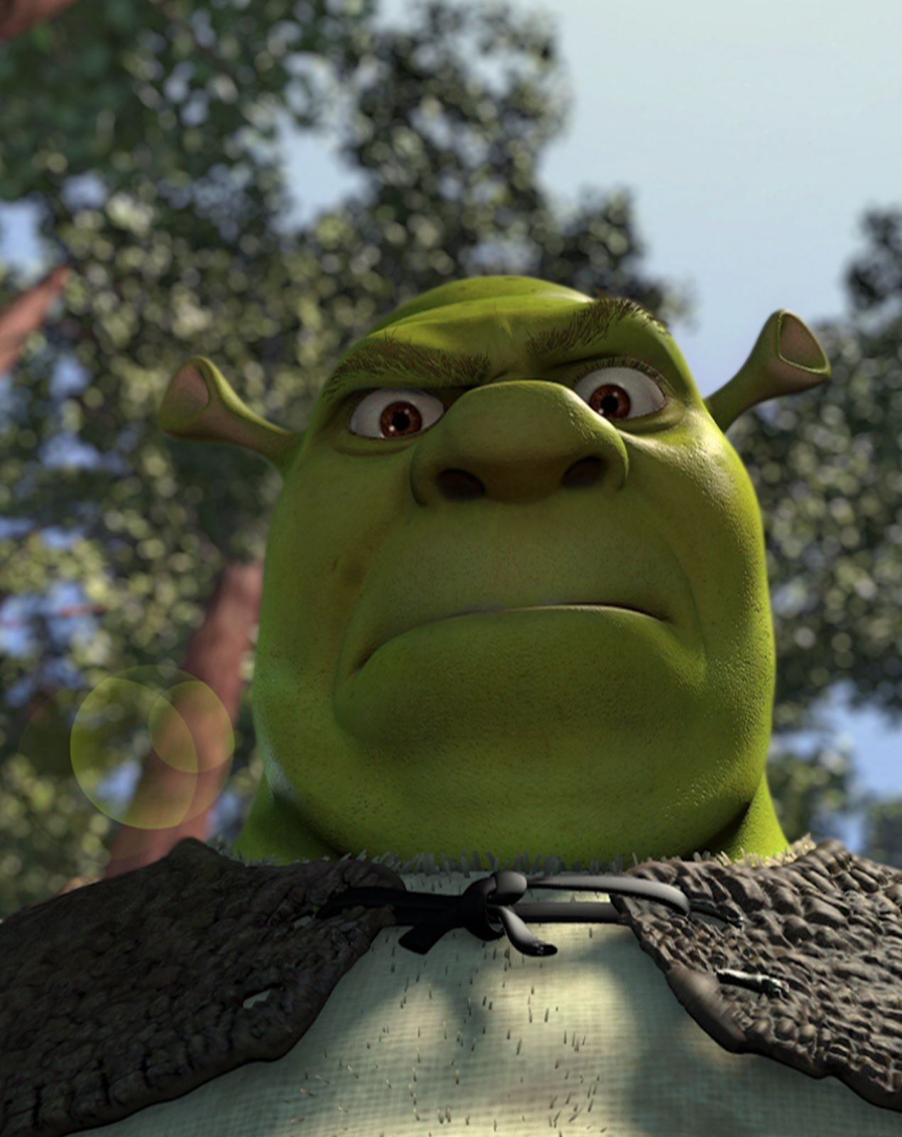 Foto Engraçada para Perfil Verde com Orelhas Pontudas