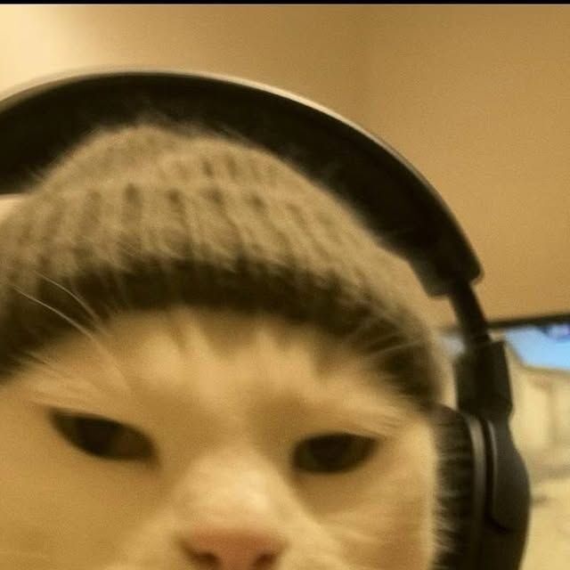 Gato com fones de ouvido para foto de perfil