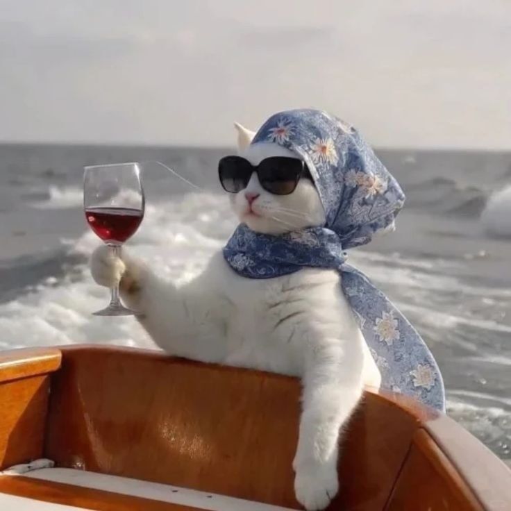 Gato Engraçado com Óculos Escuros para Perfil