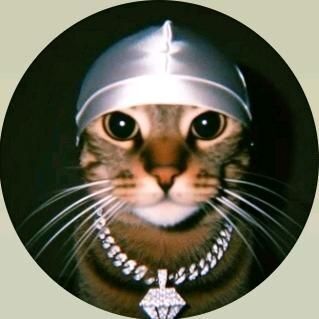 Gato estilizado com gorro prateado