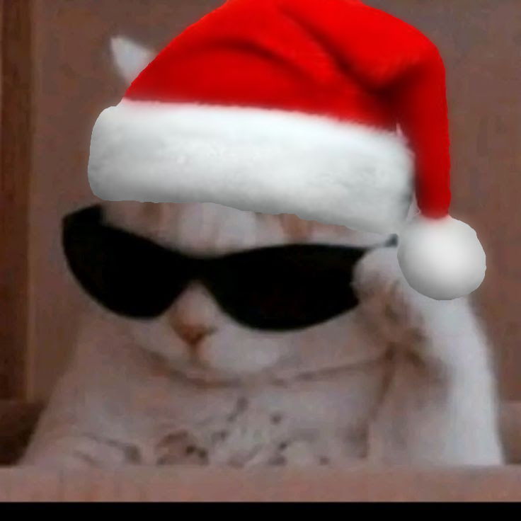 Gato estiloso com óculos e gorro de Natal