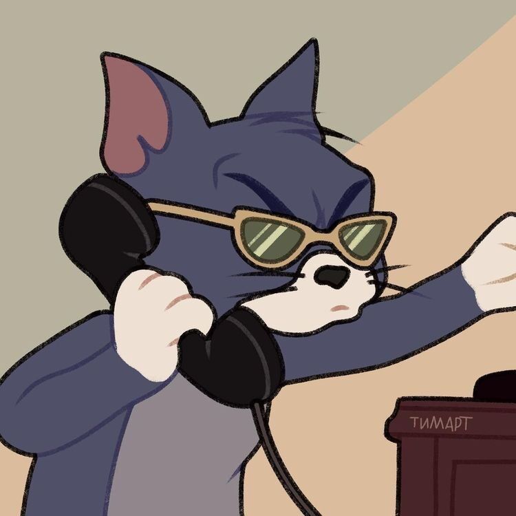 Gato Estiloso para Foto de Perfil no Whatsapp