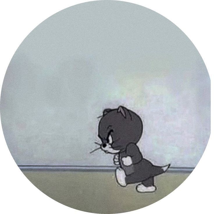 Gato zangado como Foto de Perfil