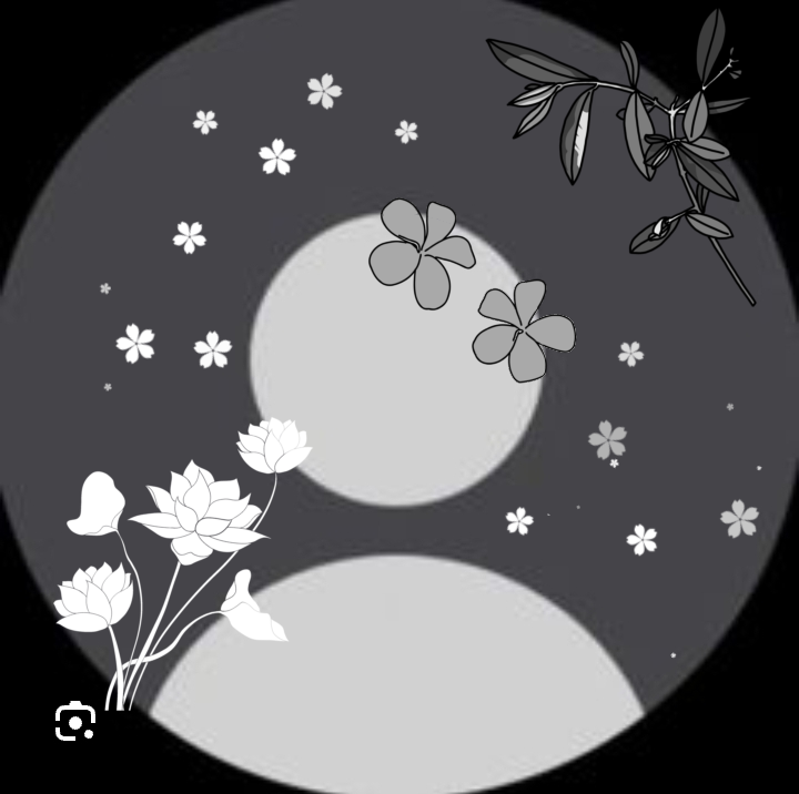 Imagem criativa para perfil feminino no Whatsapp