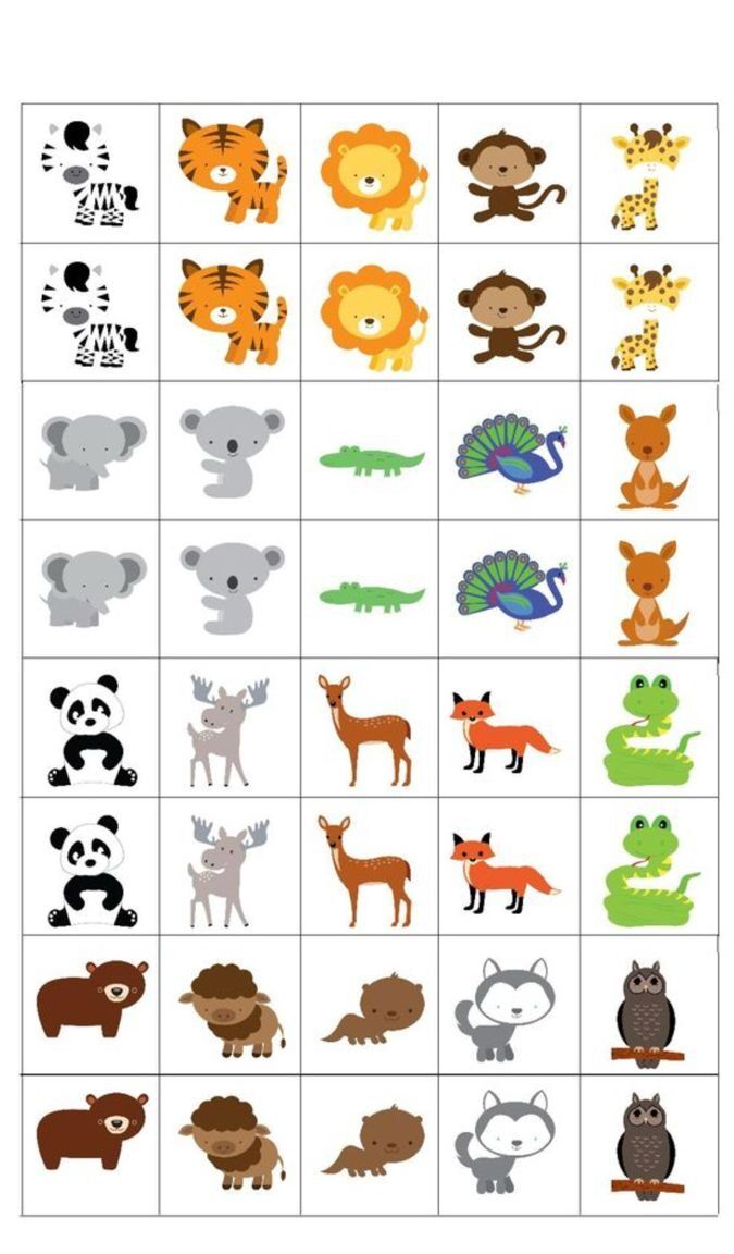 Jogo da Memoria para Imprimir com Animais Fascinantes