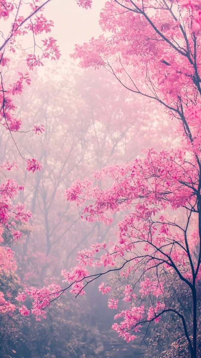 Papel de Parede Feminino com Árvores Rosa