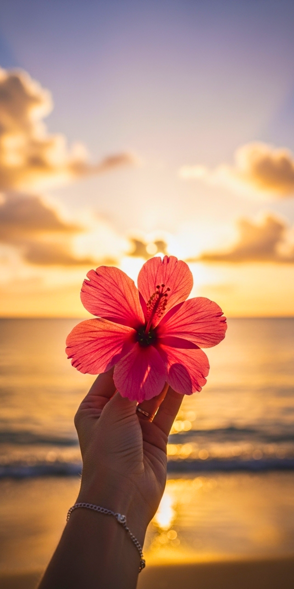 Papel de Parede para Celular Bonito com Flores e Pôr do Sol