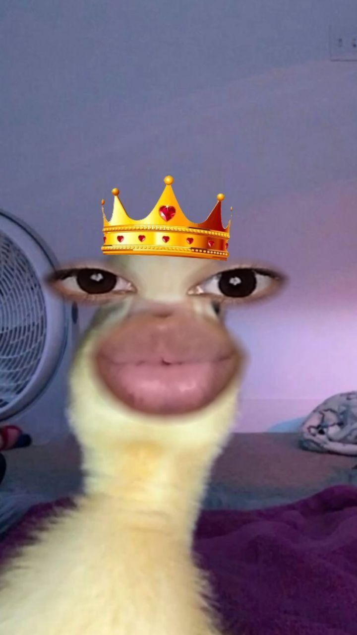 Pato Engraçado com Coroa para Perfil Divertido