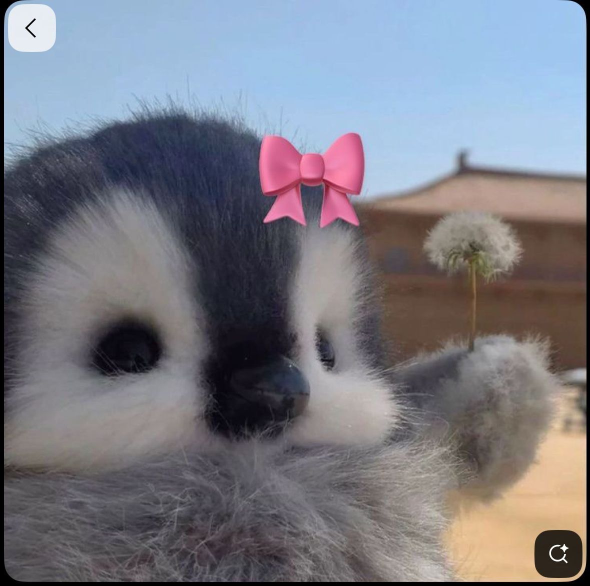 Pinguim de Pelúcia: Foto para Perfil Bonita