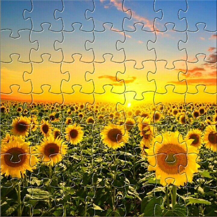 Quebra Cabeça para imprimir com campo de girassóis ao pôr do sol