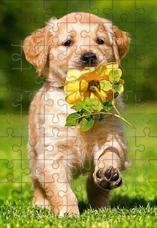 Quebra Cabeça para imprimir com filhote e flor amarela