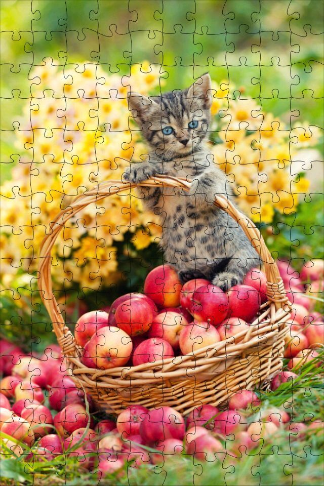 Quebra Cabeça para imprimir com gatinho e maçãs vermelhas