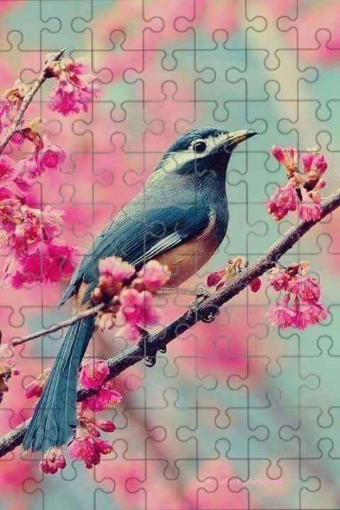 Quebra Cabeça para imprimir com pássaro azul e flores