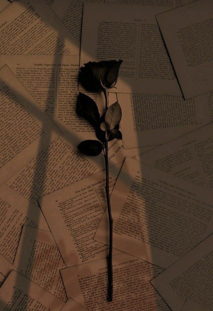 Rosa Preta: Foto Triste para Perfil