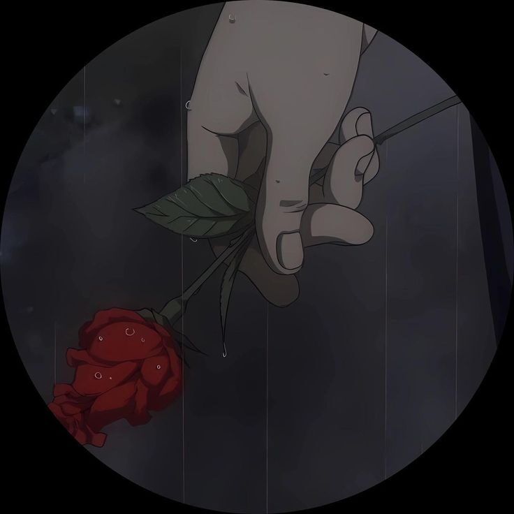 Rosa Vermelha para Perfil do Whatsapp