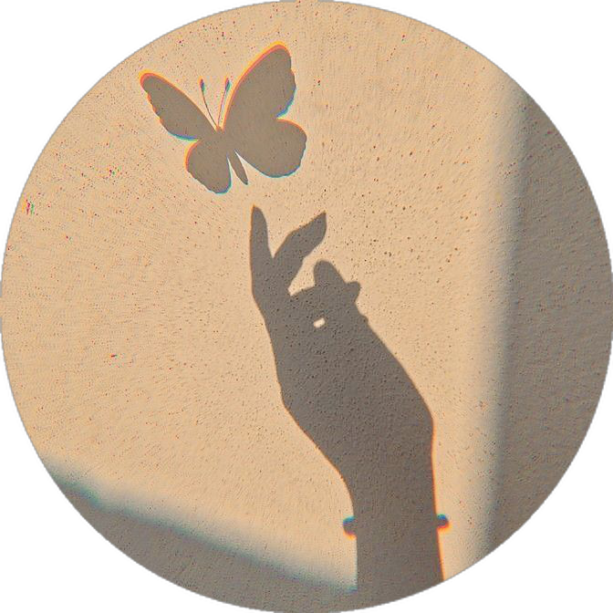 Sombra de Mão e Borboleta: Fotos Bonitas Para Perfil