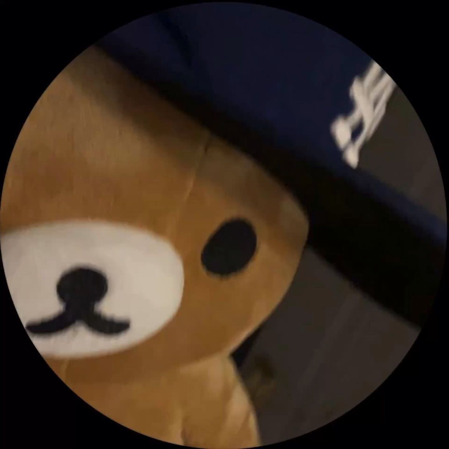 Ursinho de Pelúcia como Imagem de Perfil